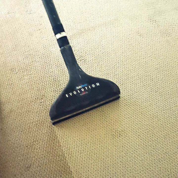 Professional carpet steam cleaning across the Gold Coast