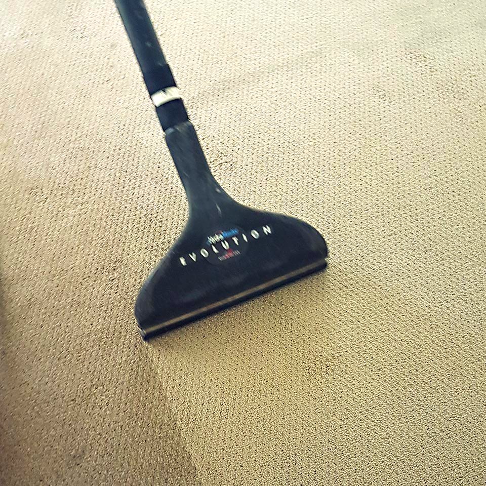 Carpet Cleaning on the Gold Coast by 7 Star Cleaning