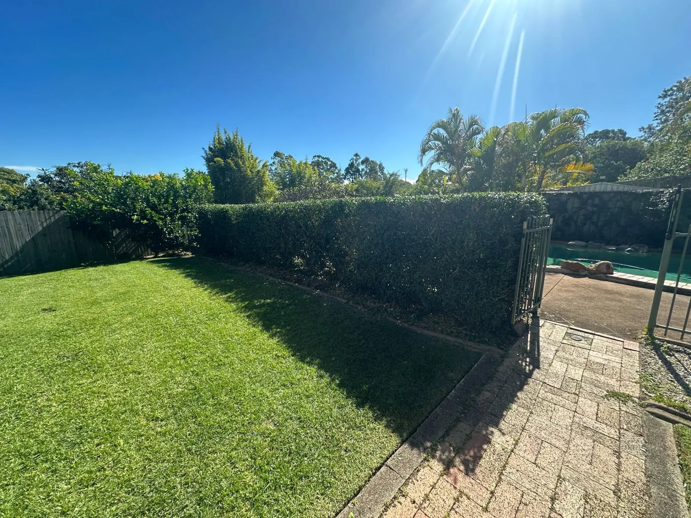 Hedge, Bush & Tree Work work by Aaron's Mowing