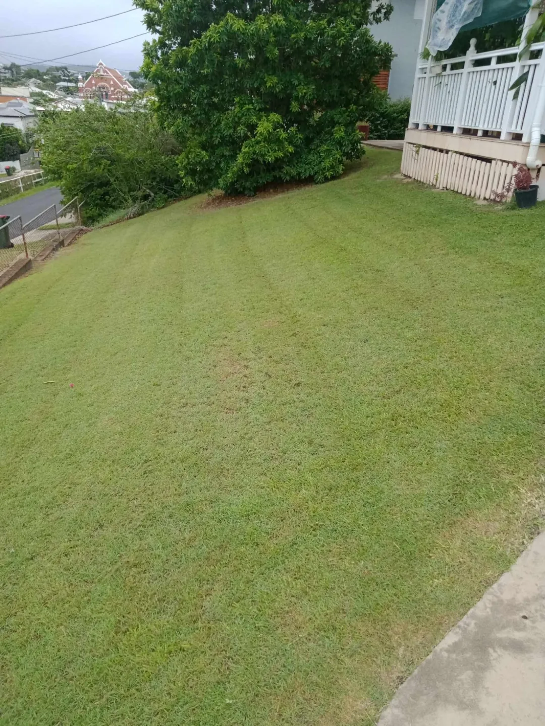 Hedge, Bush & Tree Work in Brisbane by Aaron's Mowing