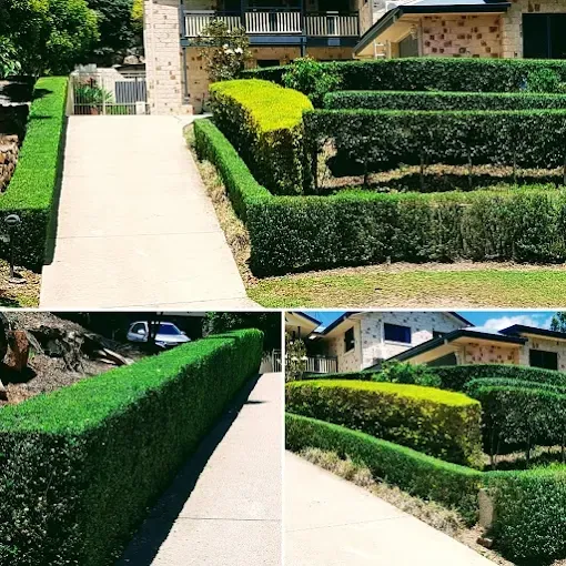 Lawn Mowing work by Aaron's Mowing