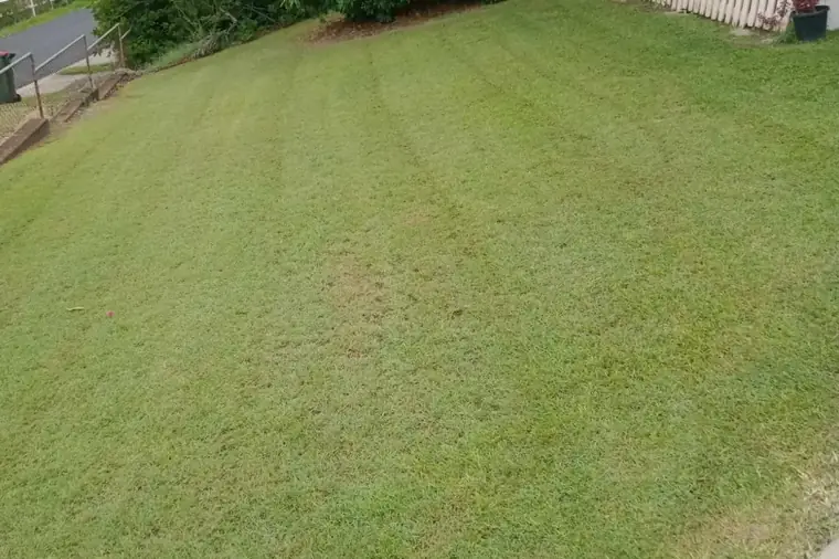Hedge, Bush & Tree Work by Aaron's Mowing