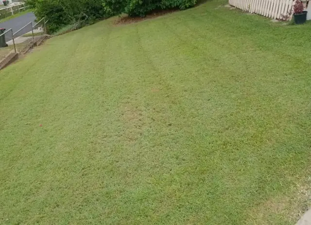 Recent lawn and garden work by Aaron's Mowing in Brisbane