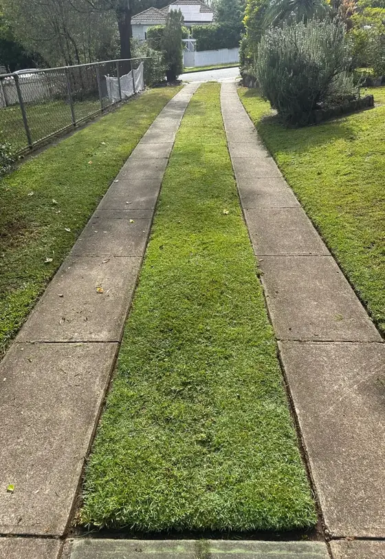 Recent lawn and garden work by Aaron's Mowing in Brisbane