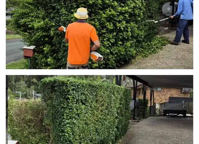 Recent lawn and garden work by Aaron's Mowing in Brisbane