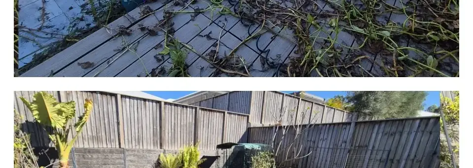Recent lawn and garden work by Aaron's Mowing in Brisbane