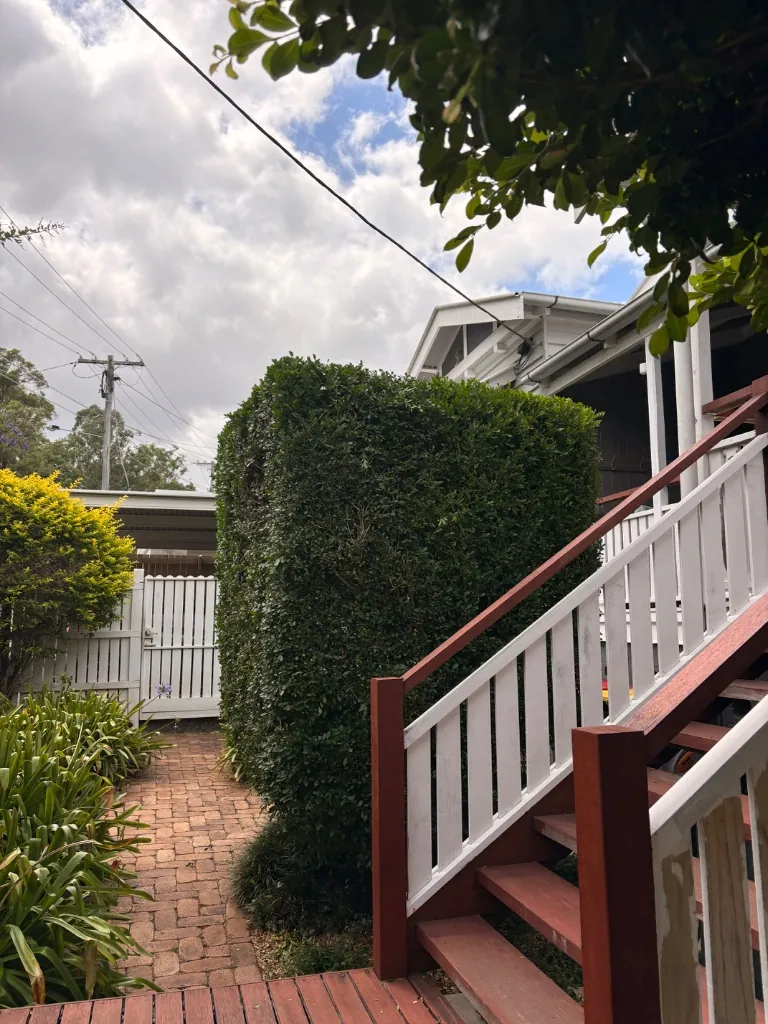 Hedge Sculpting by AB Yard Maintenance in Brisbane