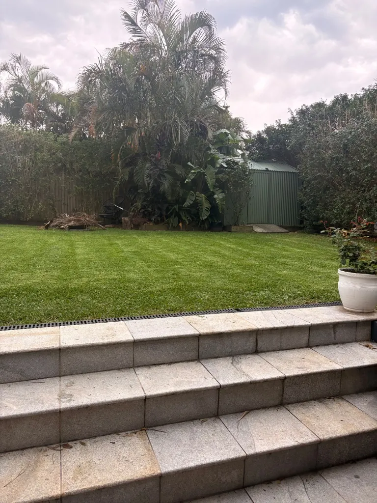 Full Clean-Ups by AB Yard Maintenance in Brisbane