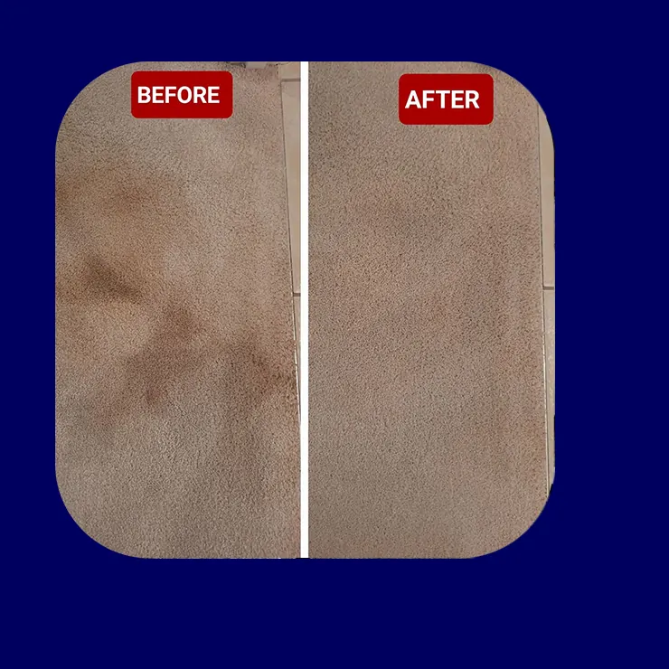 Before and after carpet stain removal
