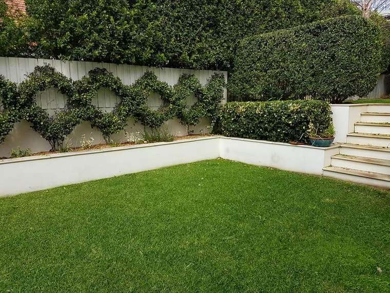 Lawn Maintenance in Brisbane by Adam Fox Gardening
