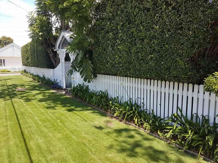 Neatly mown lawn beside a white picket fence and trimmed hedge