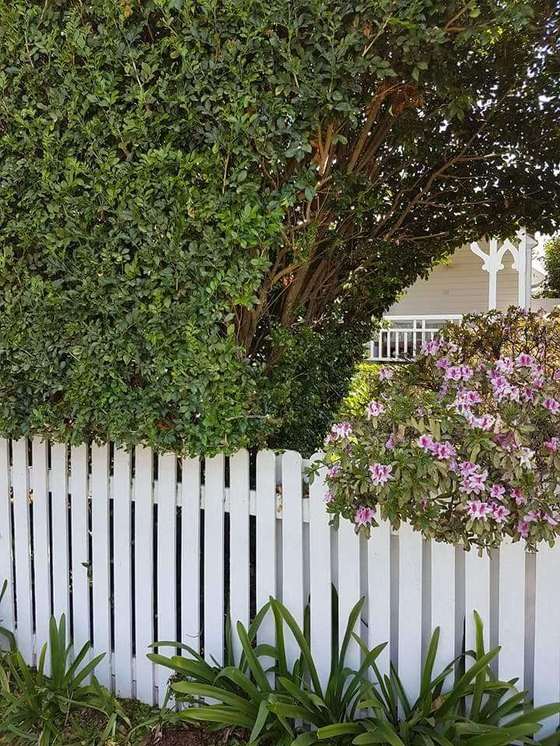 Garden Maintenance in Brisbane by Adam Fox Gardening