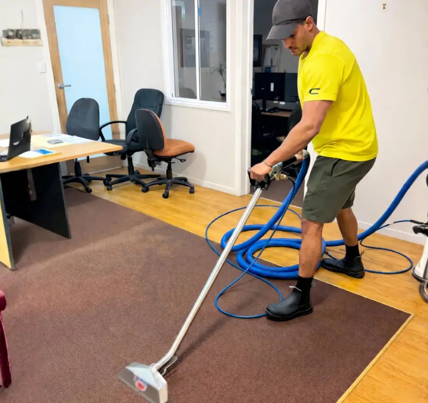 Rug Steam Cleaning by Affordable Carpet & Pressure Cleaning