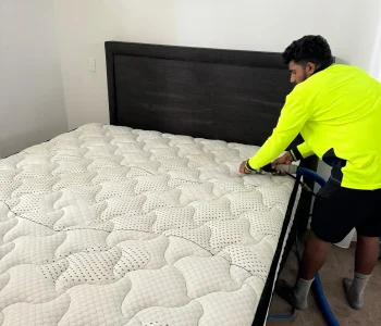Cleaning result 9 by Affordable Carpet & Pressure Cleaning