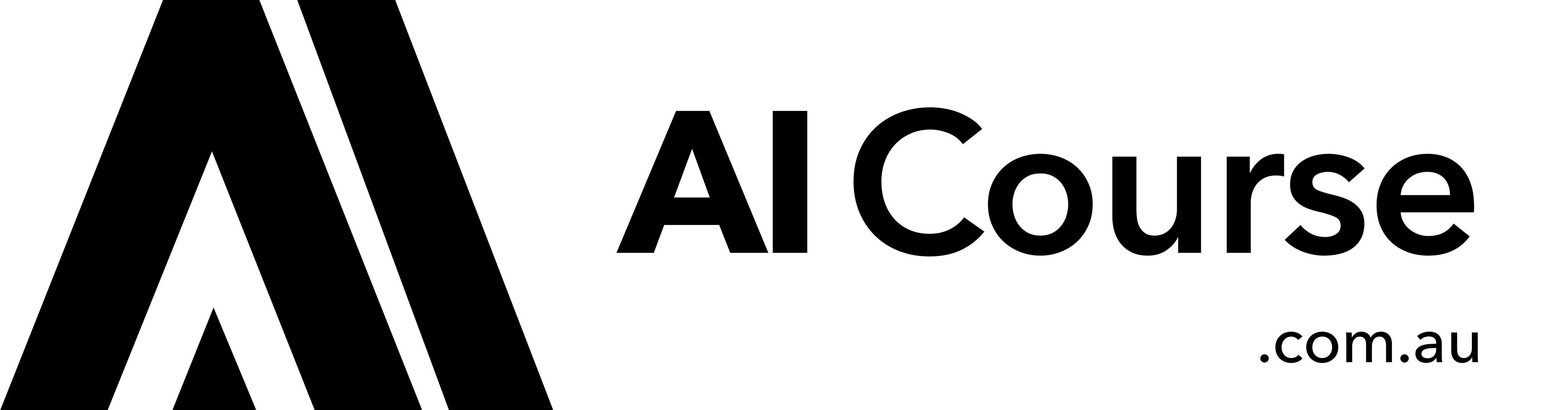 The AI Course