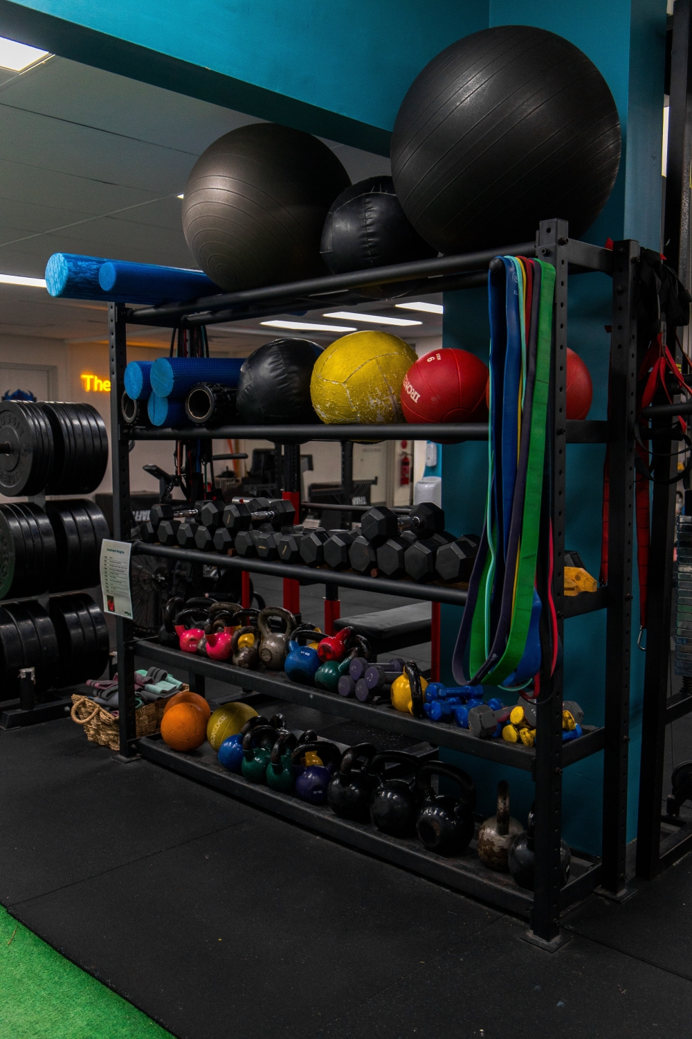 Functional gear shelf with med balls
