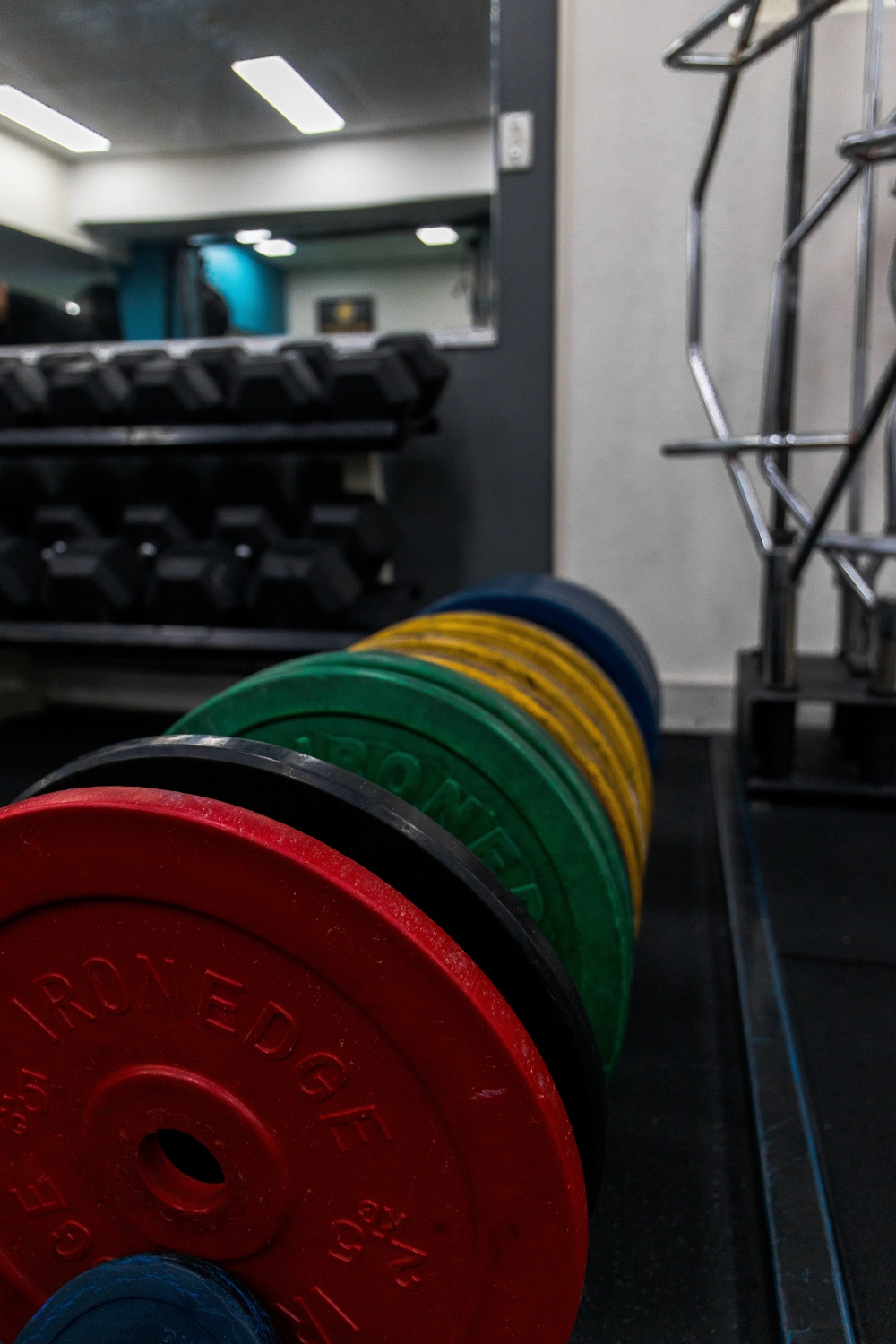 Colored bumper plates