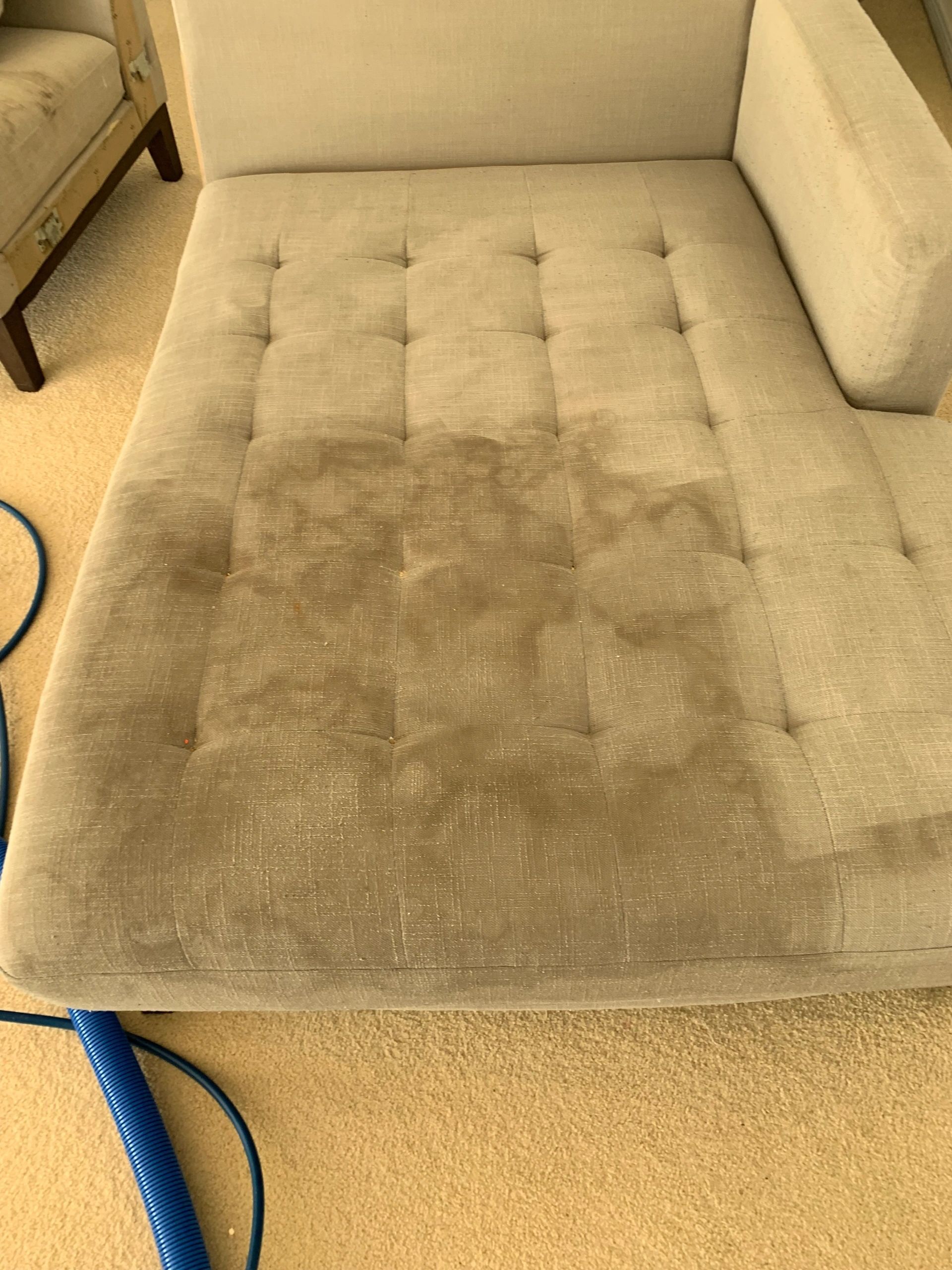 Carpet stain removal before and after