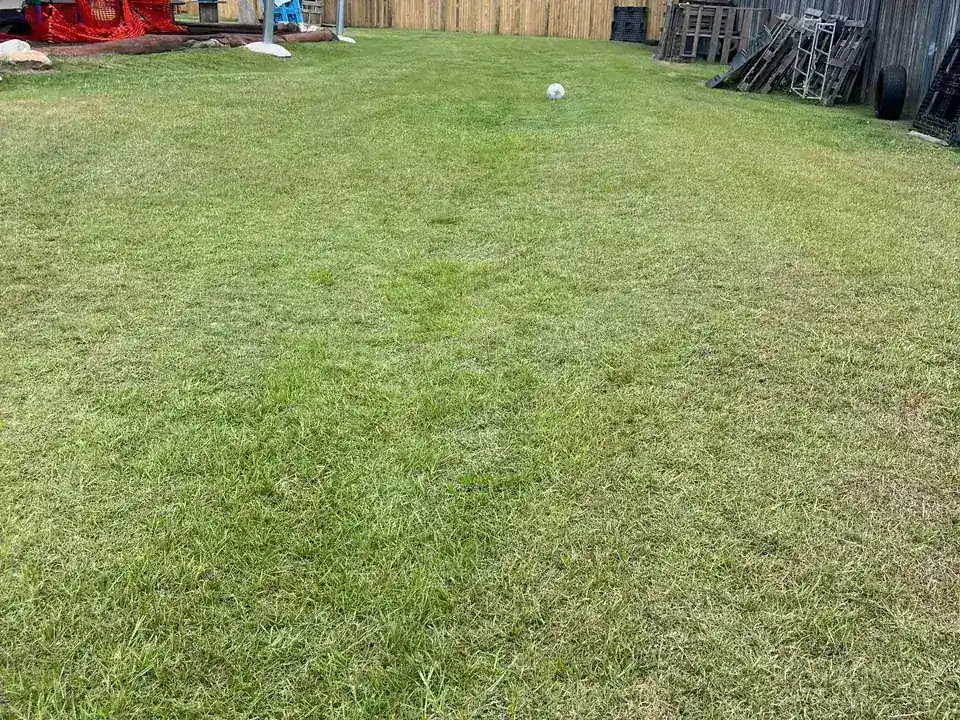 Green lawn photo from Always Handy public site