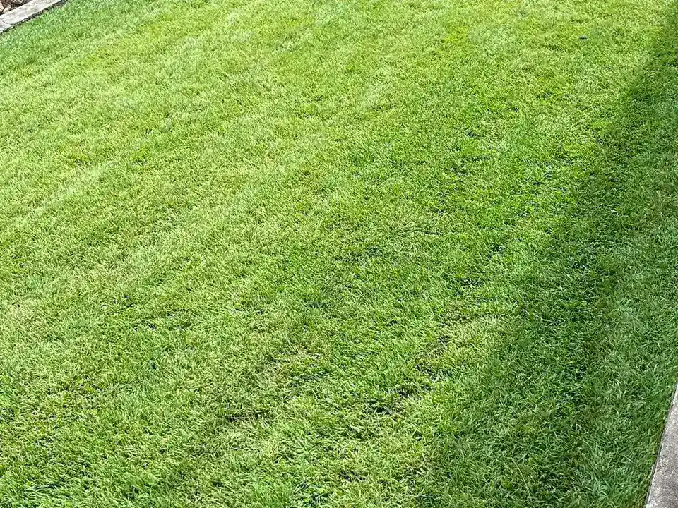 Maintained green outdoor area from Always Handy public site