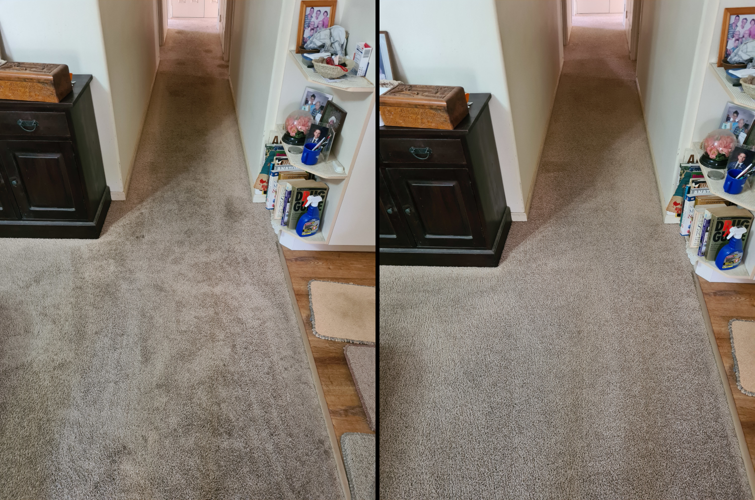 Recent carpet clean at Wavell Heights, Brisbane