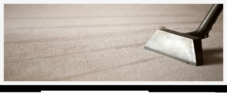 Carpet Cleaning