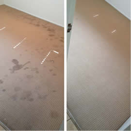 Carpet Cleaning by As New Carpet Cleaning
