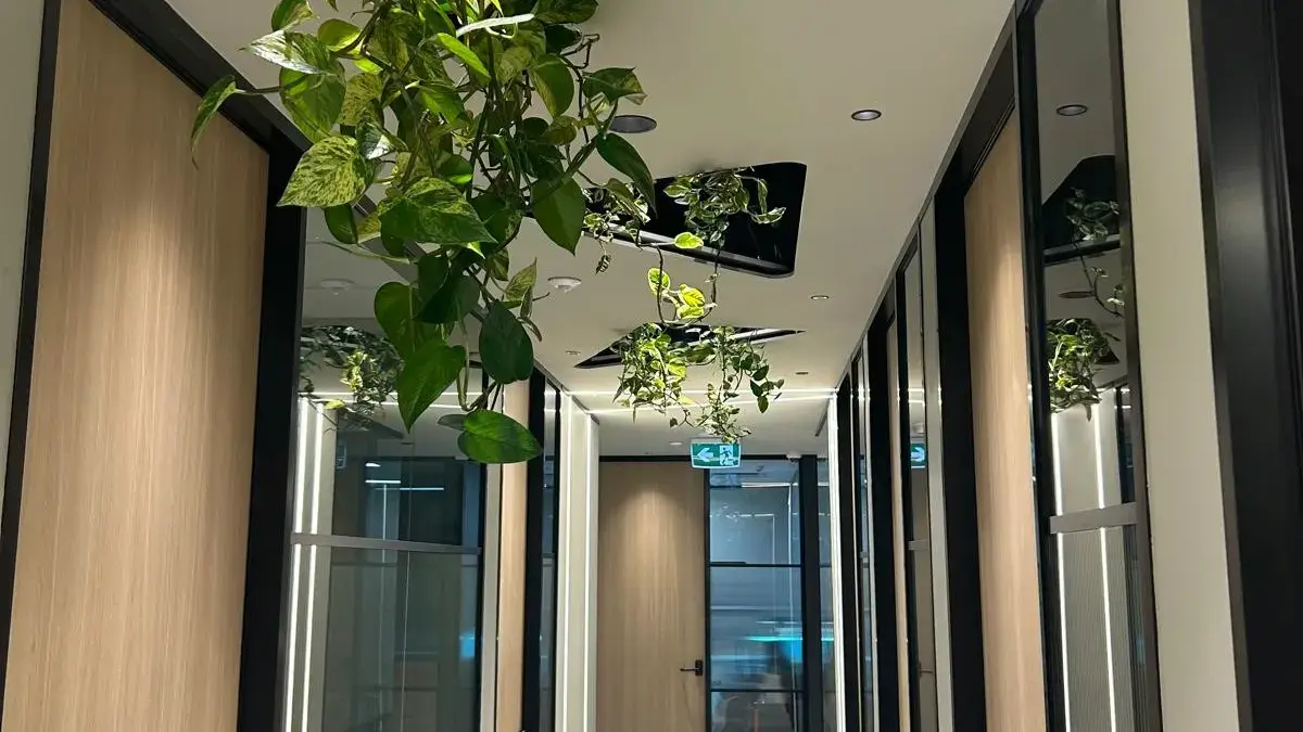Lighting and power points