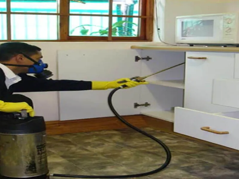 Pest control technician treating a property