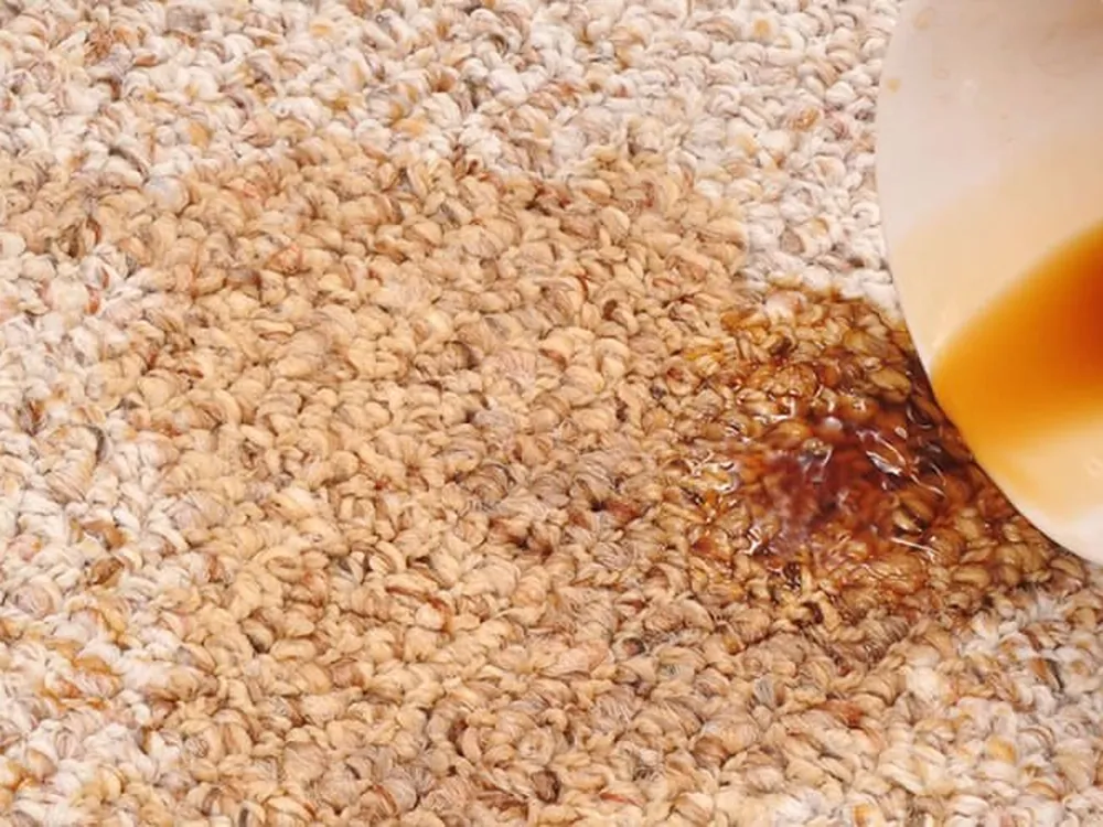 A coffee-stained carpet visibly lifted clean by Aussie Carpet & Pest