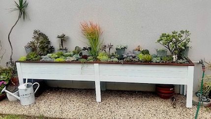 Succulent planter with small pots, a watering can and gravel