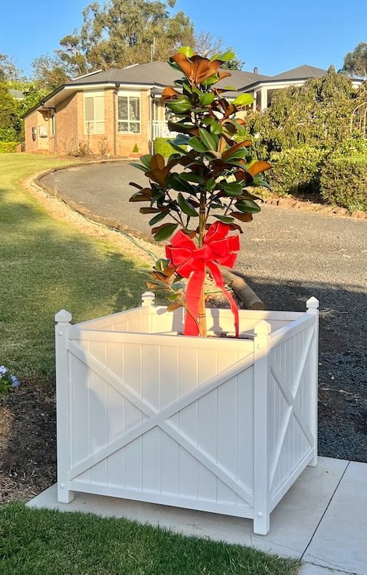 White planter box with a small potted tree and red bow on a driveway
