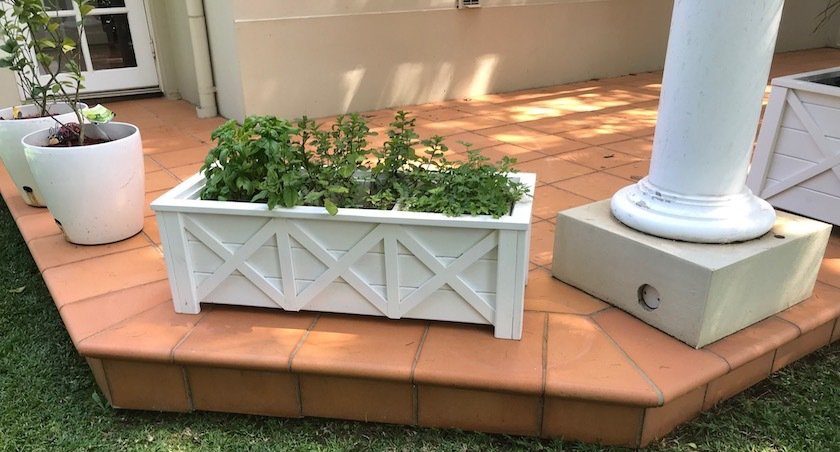 White planter boxes with green plants on a terracotta-tiled porch