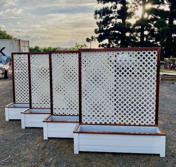Four white lattice Hampton patio planters with brown trim outdoors