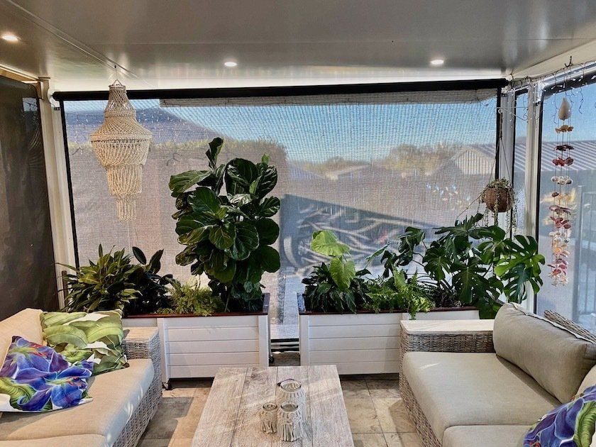 Bright living room with indoor plants and a timber coffee table