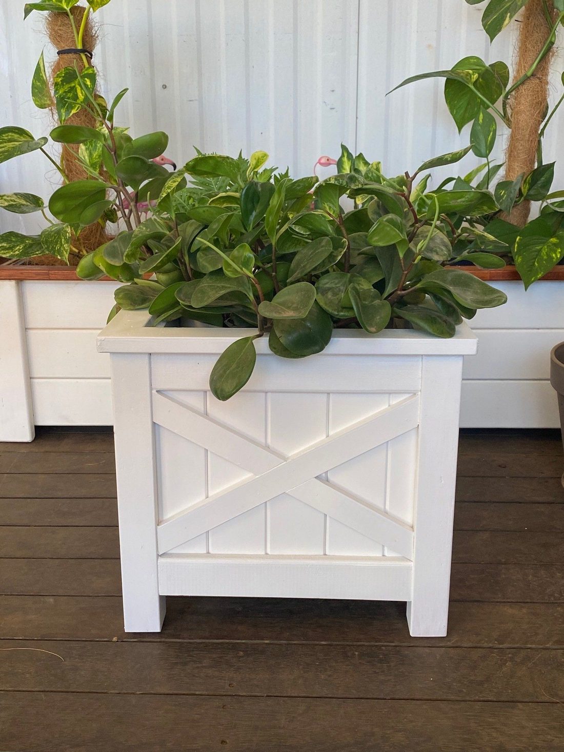 White planter box with leafy green plants on a dark timber deck