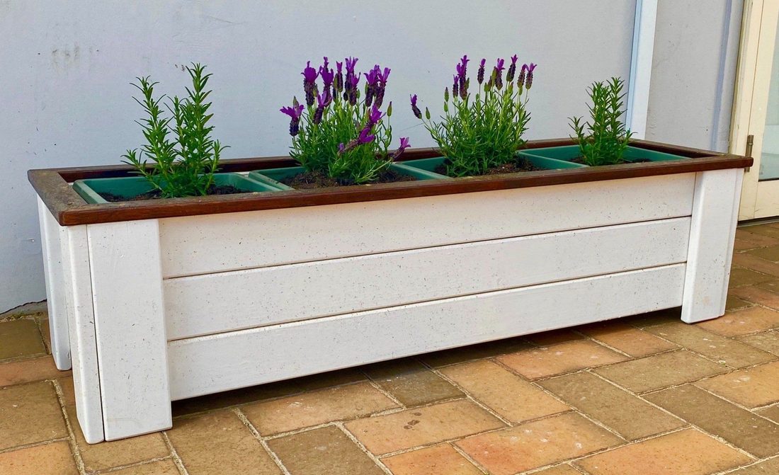 White timber planter box with purple flowers along a tiled patio wall