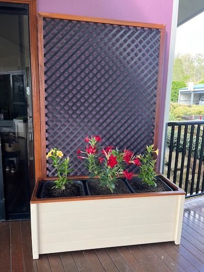 Lattice Box High