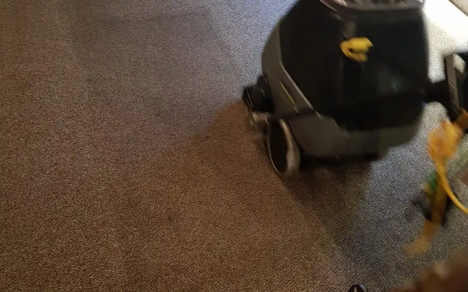 Carpet Cleaning by Bailey's Property Detailing