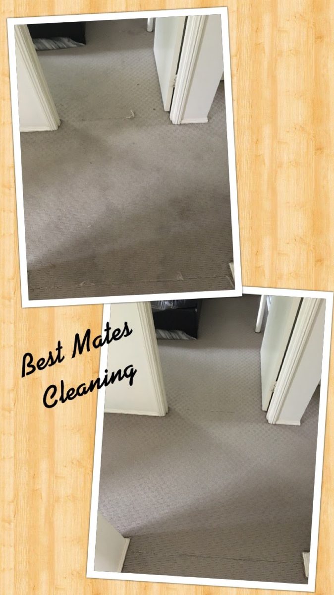 Pest Control before and after results