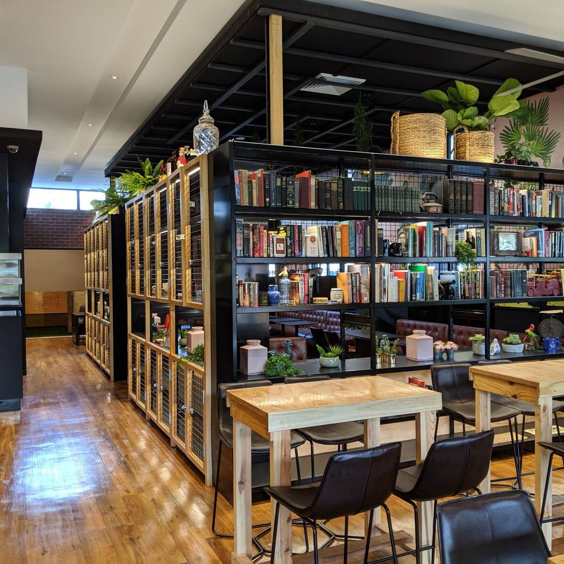 Commercial bar fit-out by BJL Electrical Solutions