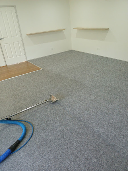 Carpet steam cleaning in progress by Blue Gum