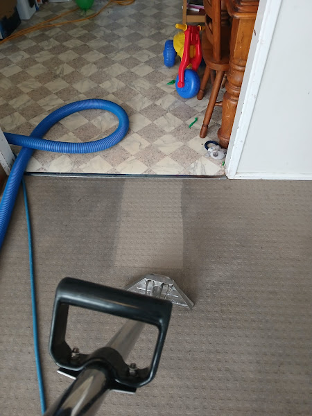 Floor and carpet cleaning Springwood