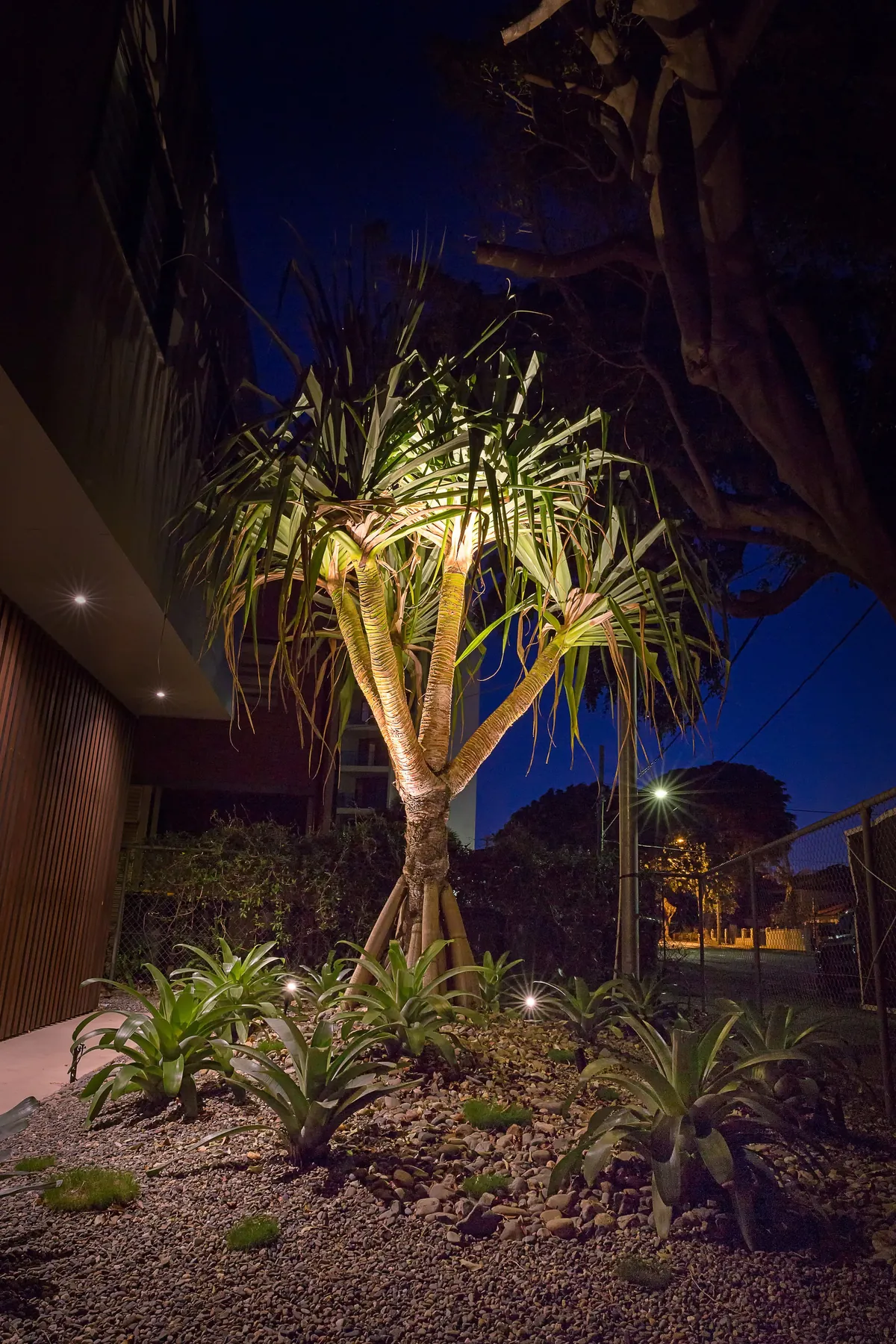 Concept design stage — Brisbane Landscaping Co.