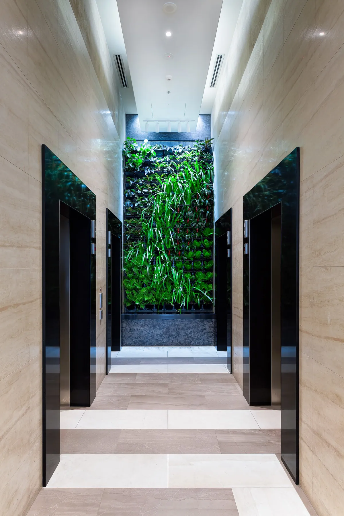 Lush landscaped garden by Brisbane Landscaping Co.
