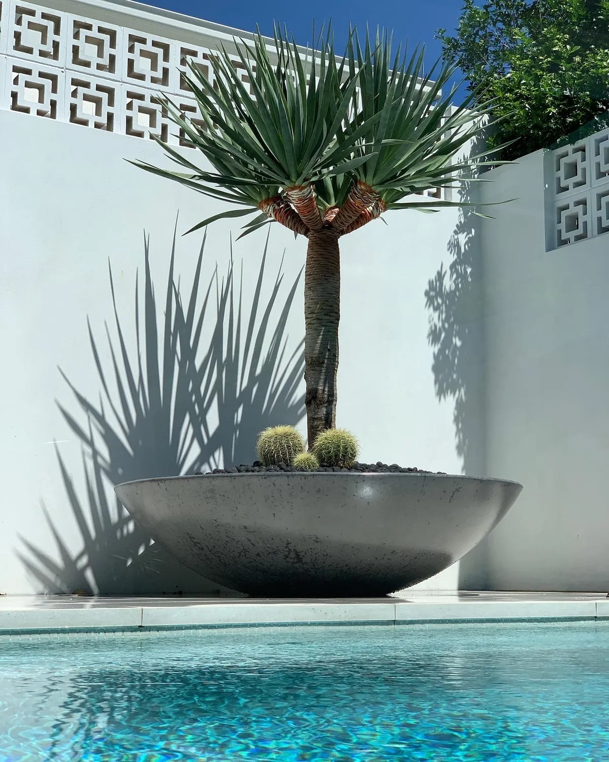 Hawthorne residence by Brisbane Landscaping Co.