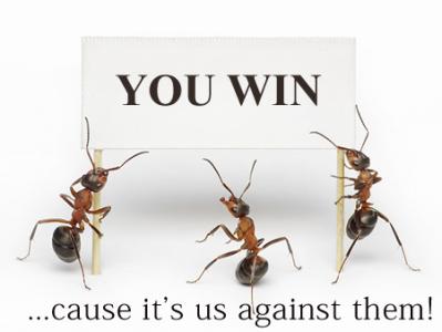 Integrated Pest Management on a Brisbane North site