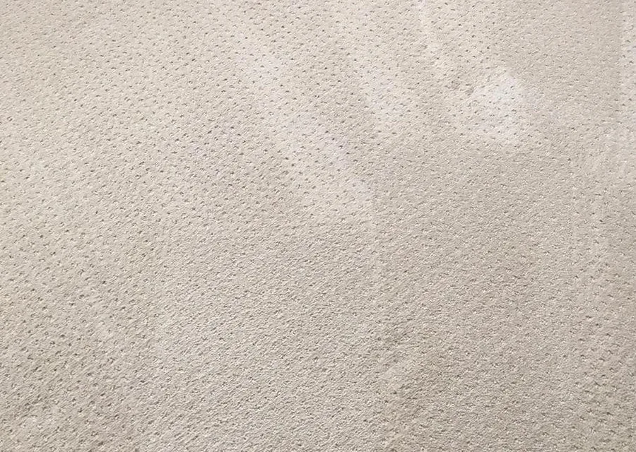 Carpet and Upholstery Cleaning service image