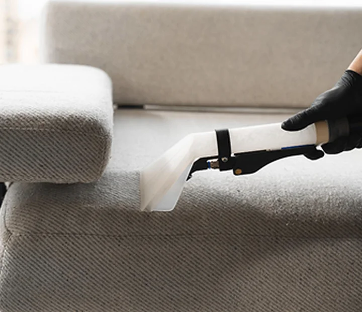 Upholstery and Furniture Cleaning image from the Broadbeach Carpet Cleaning source site