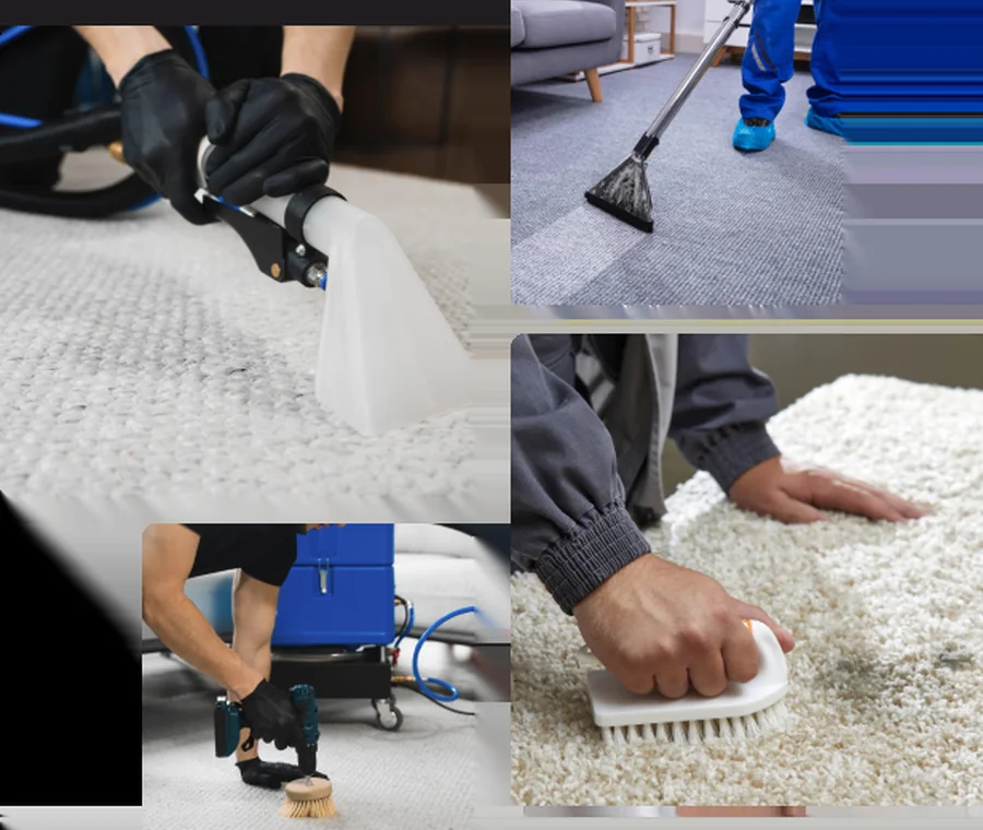 About Broadbeach Carpet Cleaning source image